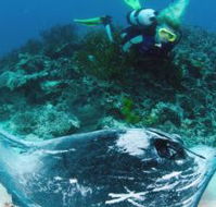 Heron Island Resort - Accommodation VIC