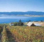 Marions Vineyard  - Accommodation VIC