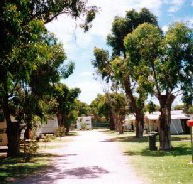 Bathers Paradise Caravan Park - Accommodation VIC