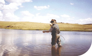 Tawonga Fishing Lodge - Accommodation VIC 3