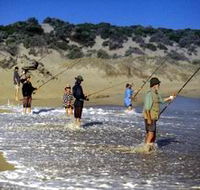 Flippers Beachouse - Accommodation VIC