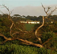 Black Rock Retreat - Accommodation VIC