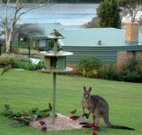 Gipsy Point Lakeside - Accommodation VIC