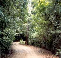 Mt Glorious Getaway Cottages And Conference Centre - Accommodation VIC