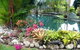 Daintree Wild Bed And Breakfast - thumb 0