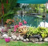 Daintree Wild Bed And Breakfast - Accommodation VIC