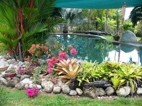 Daintree Wild Bed And Breakfast - Accommodation VIC 0