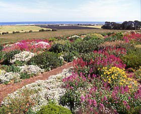 Tower Hill VIC Accommodation VIC