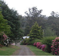 Mountain Rivers Lodge - Accommodation VIC