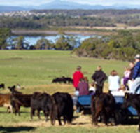 Bonny Brae - Accommodation VIC