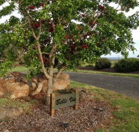 Belle Vue Studio - Accommodation VIC