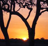 Coodardie Station Stay - Accommodation VIC