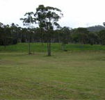 Mt White Lodge - Accommodation VIC