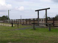 Mt White Lodge - Accommodation VIC 2