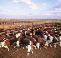 Bond Springs Outback Retreat - Accommodation VIC