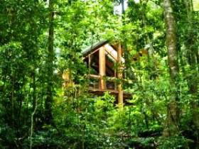 Tarzali QLD Accommodation VIC