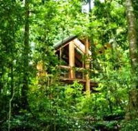 Fur'N'Feathers Rainforest Tree Houses - Accommodation VIC