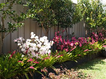 Pigeon House Motor Inn - Accommodation VIC 28