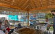 Terrigal Pacific Coastal Retreat - thumb 11