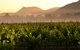 Estate Tuscany - thumb 21
