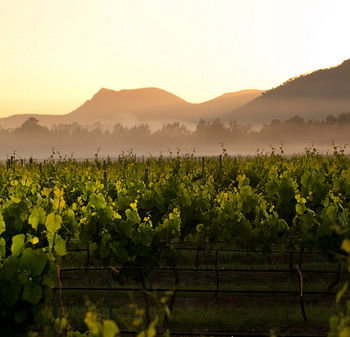 Estate Tuscany - Accommodation VIC 21