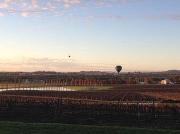 Estate Tuscany - Accommodation VIC 26