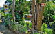 Wombats B&B - Apartments - thumb 20