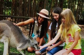 Pacific Horizons Resort - Accommodation VIC 23