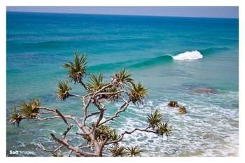 Pacific Horizons Resort - Accommodation VIC 24