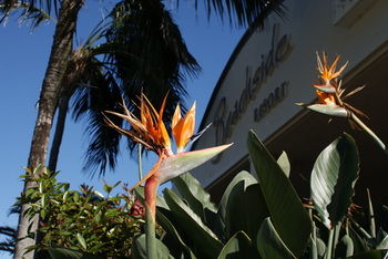 Beachside Resort - Kawana Waters - Accommodation VIC 4