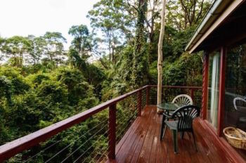 Kondalilla Eco Resort - Accommodation VIC 0