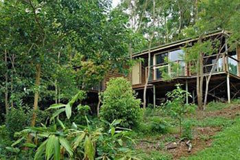 Kondalilla Eco Resort - Accommodation VIC 22