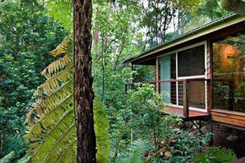 Kondalilla Eco Resort - Accommodation VIC 23