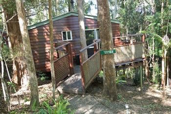 Kondalilla Eco Resort - Accommodation VIC 27