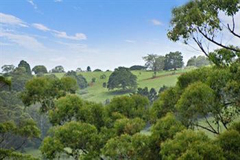 Kondalilla Eco Resort - Accommodation VIC 28