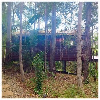 Kondalilla Eco Resort - Accommodation VIC 32