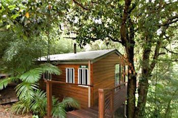 Kondalilla Eco Resort - Accommodation VIC 35
