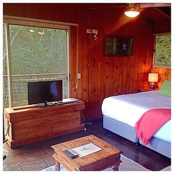 Kondalilla Eco Resort - Accommodation VIC 50