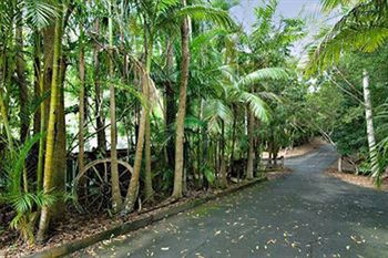 Kondalilla Eco Resort - Accommodation VIC 94