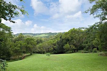 Kondalilla Eco Resort - Accommodation VIC 97