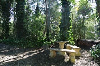 Kondalilla Eco Resort - Accommodation VIC 98
