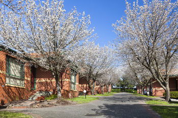 Apartments @ Mt Waverley - Accommodation VIC 26