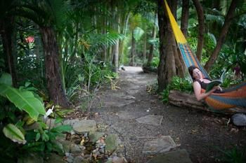 Noosa Valley Manor B&B Retreat - Accommodation VIC 4