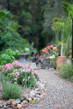 Noosa Valley Manor B&B Retreat - Accommodation VIC 12