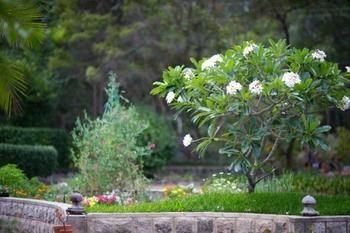 Noosa Valley Manor B&B Retreat - Accommodation VIC 13
