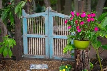 Noosa Valley Manor B&B Retreat - Accommodation VIC 30