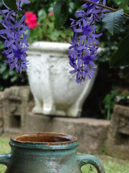 Noosa Valley Manor B&B Retreat - Accommodation VIC 31