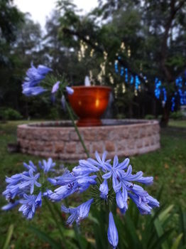 Noosa Valley Manor B&B Retreat - Accommodation VIC 34