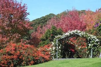 Terrigal Hinterland Bed And Breakfast - Accommodation VIC 11