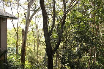 Arabella Guesthouse - Accommodation VIC 18